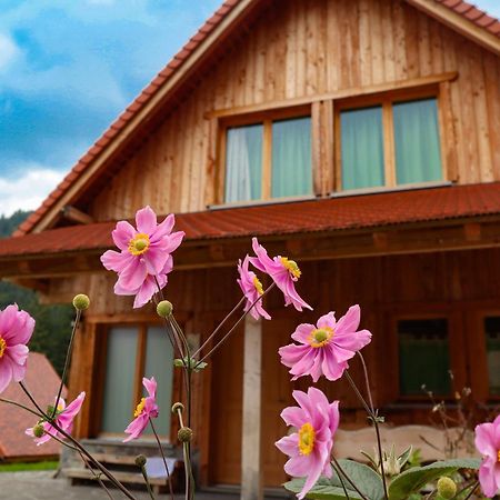 Dolomiti Village Comeglians Exterior foto